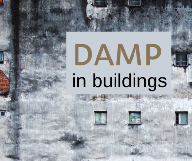 Damp blog
