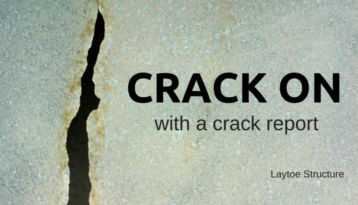 crack report (1)